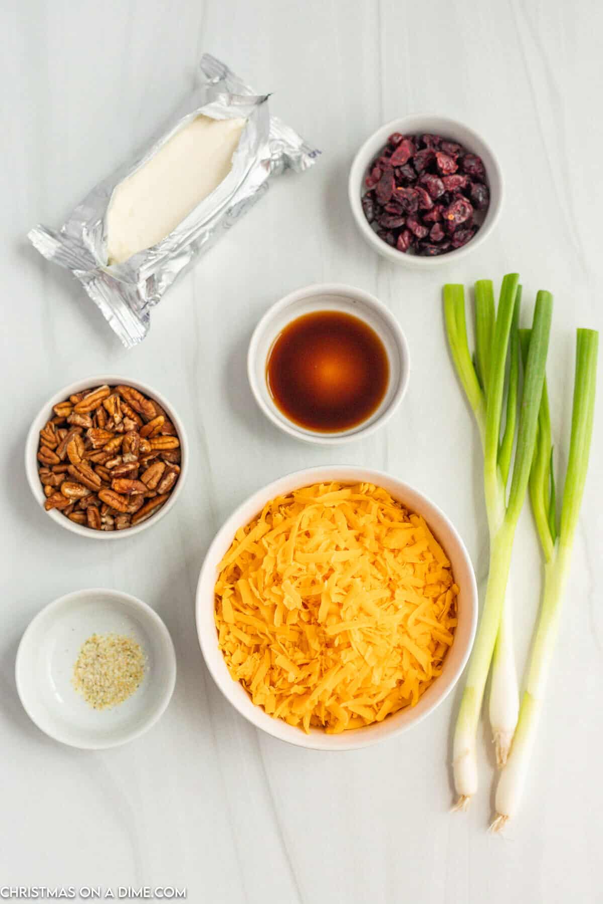 Christmas Cheese Ball ingredients - Cream cheese, cheese, garlic salt, Worcestershire Sauce, green onions, pecans, cranberries, green onion